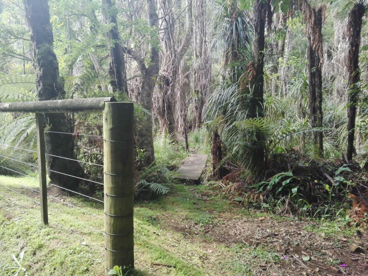 Taranaki Experience Lejlighed New Plymouth Eksteriør billede